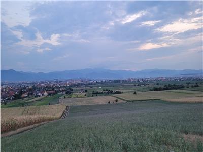 teren Gusterita