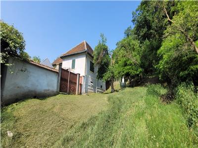 casa sat Sangatin, jud.Sibiu, cu teren1.93 Ha,comision 0