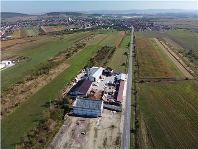 Oportunitate investiție prelucrare lemn, Cristian,jud.Sibiu