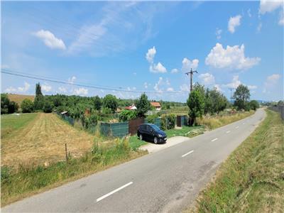 Teren 3100 mp cabană potențial investițional Șura Mică Sibiu